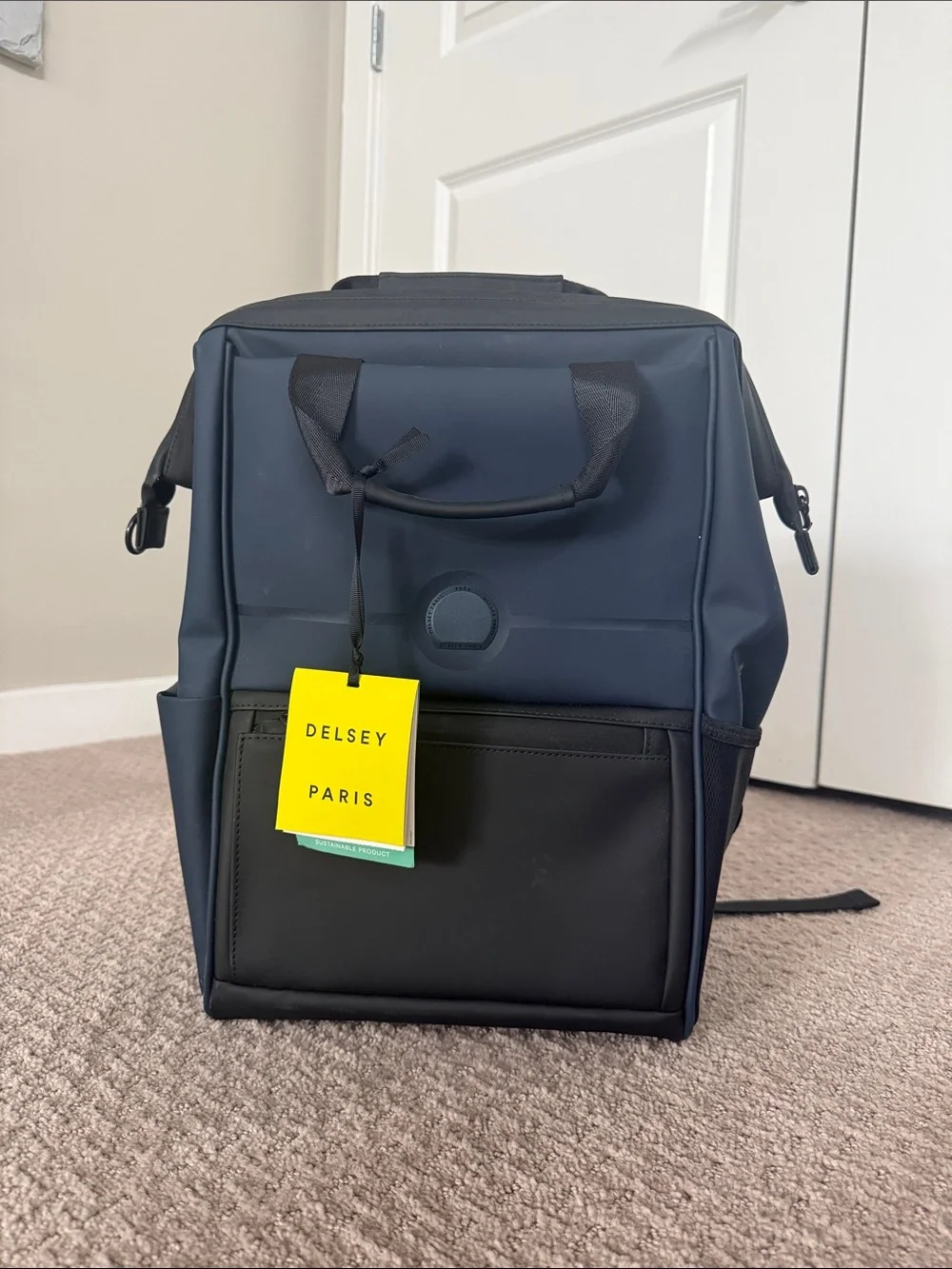 DELSEY Paris Navy and Black Casual Backpack
